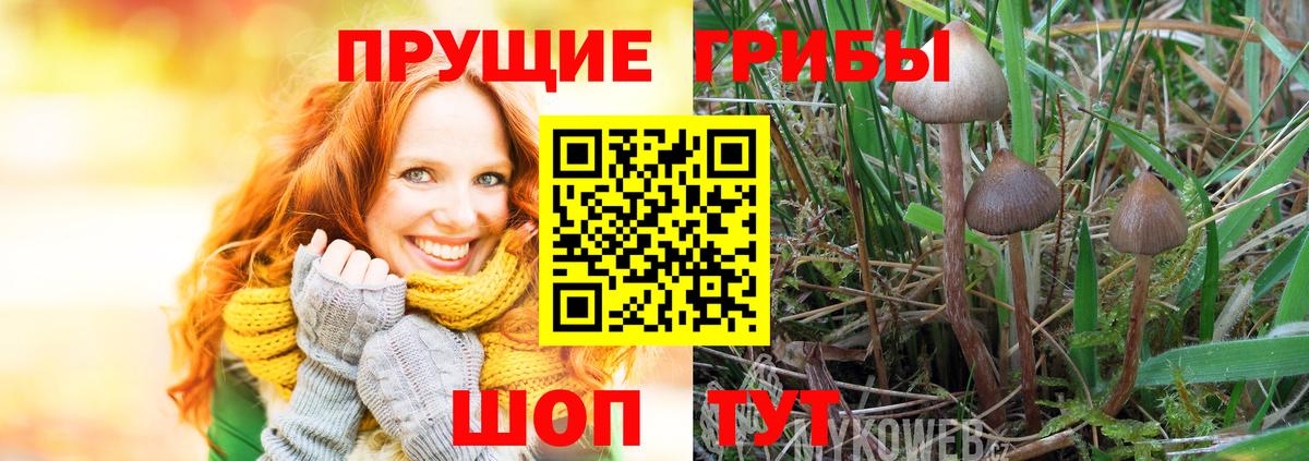 Галлюциногенные грибы MAGIC MUSHROOMS  Вход с VPN  даркнет сайт  Клин 